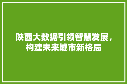陕西大数据引领智慧发展，构建未来城市新格局