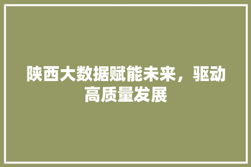 陕西大数据赋能未来，驱动高质量发展