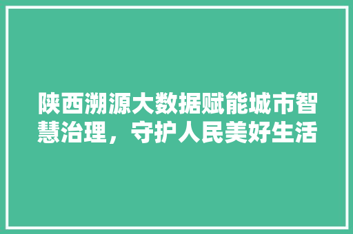 陕西溯源大数据赋能城市智慧治理，守护人民美好生活