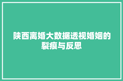 陕西离婚大数据透视婚姻的裂痕与反思