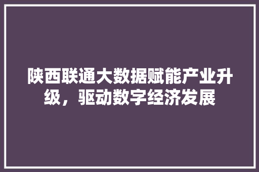 陕西联通大数据赋能产业升级，驱动数字经济发展