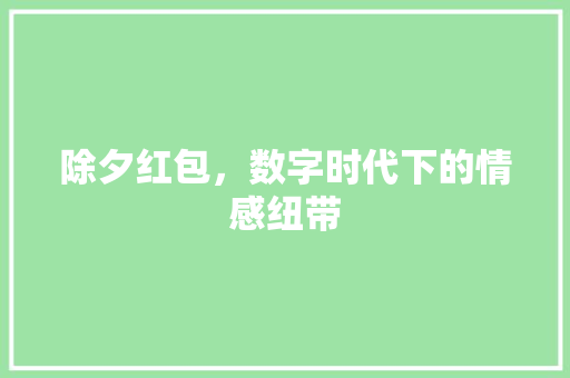 除夕红包，数字时代下的情感纽带