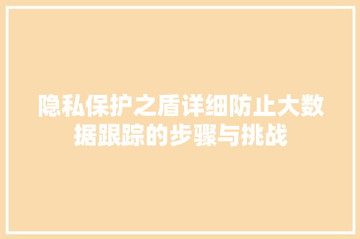 隐私保护之盾详细防止大数据跟踪的步骤与挑战