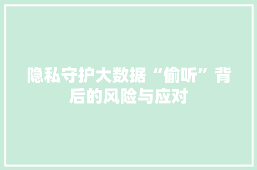 隐私守护大数据“偷听”背后的风险与应对