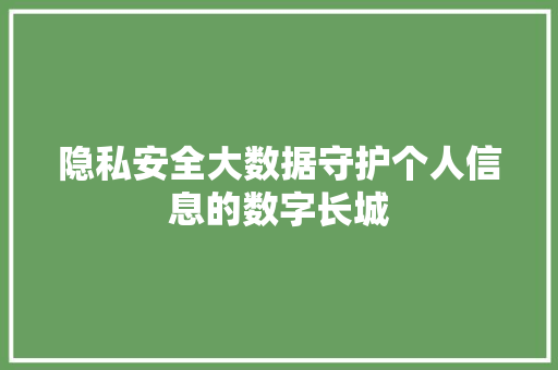 隐私安全大数据守护个人信息的数字长城
