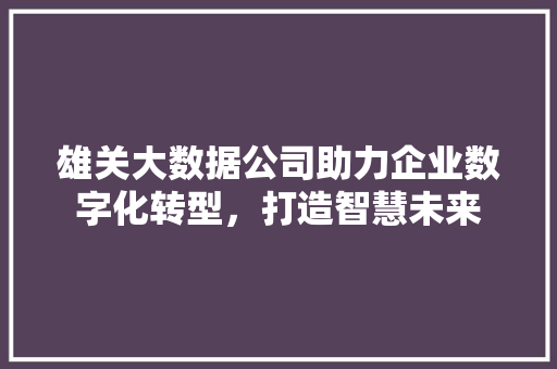 雄关大数据公司助力企业数字化转型，打造智慧未来