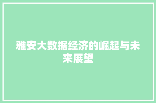 雅安大数据经济的崛起与未来展望