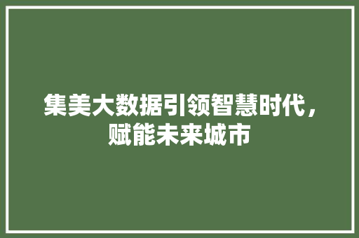 集美大数据引领智慧时代，赋能未来城市