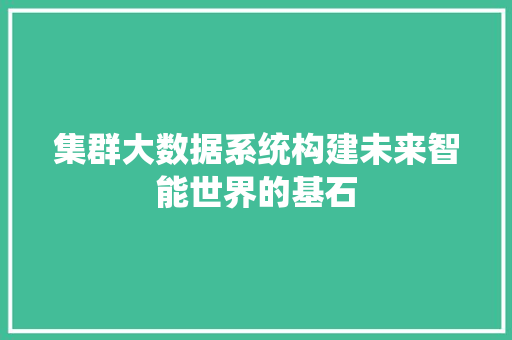 集群大数据系统构建未来智能世界的基石