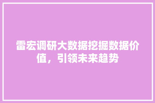 雷宏调研大数据挖掘数据价值，引领未来趋势