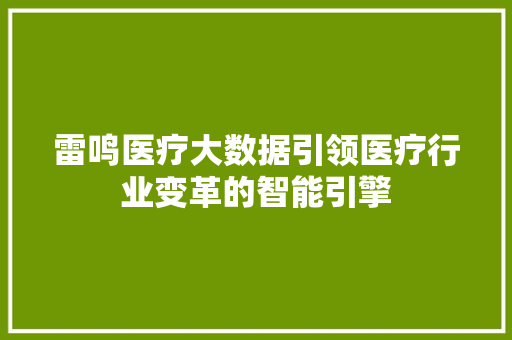 雷鸣医疗大数据引领医疗行业变革的智能引擎