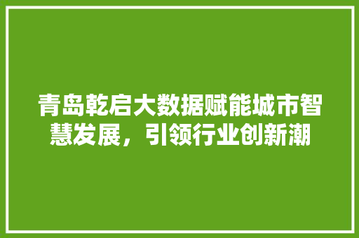 青岛乾启大数据赋能城市智慧发展，引领行业创新潮