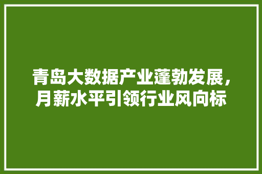 青岛大数据产业蓬勃发展，月薪水平引领行业风向标 SEO教程