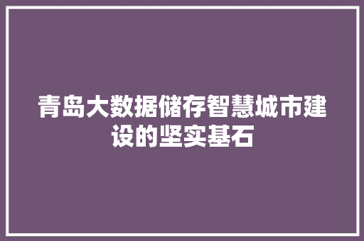 青岛大数据储存智慧城市建设的坚实基石 Web前端