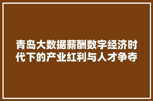 青岛大数据薪酬数字经济时代下的产业红利与人才争夺战