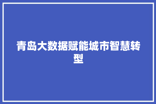 青岛大数据赋能城市智慧转型