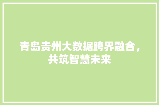 青岛贵州大数据跨界融合，共筑智慧未来