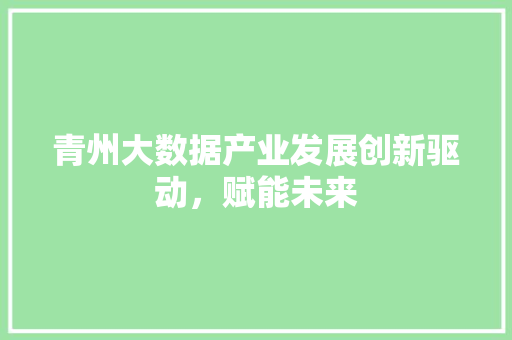 青州大数据产业发展创新驱动，赋能未来