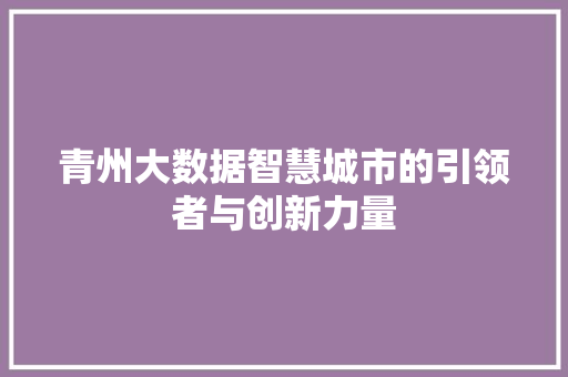 青州大数据智慧城市的引领者与创新力量