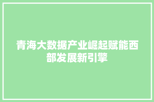 青海大数据产业崛起赋能西部发展新引擎