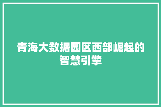 青海大数据园区西部崛起的智慧引擎