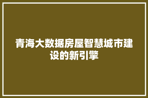青海大数据房屋智慧城市建设的新引擎