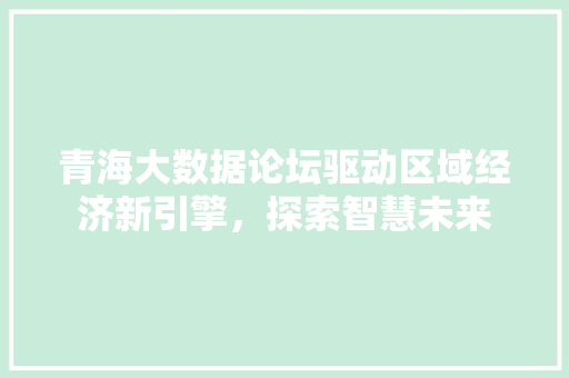 青海大数据论坛驱动区域经济新引擎，探索智慧未来