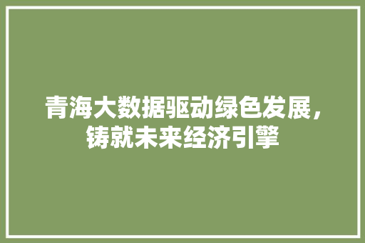 青海大数据驱动绿色发展，铸就未来经济引擎