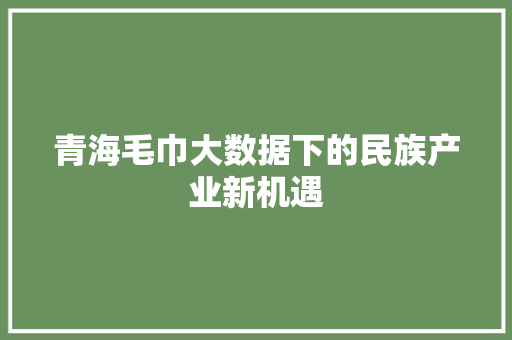 青海毛巾大数据下的民族产业新机遇