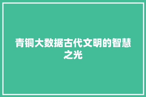 青铜大数据古代文明的智慧之光