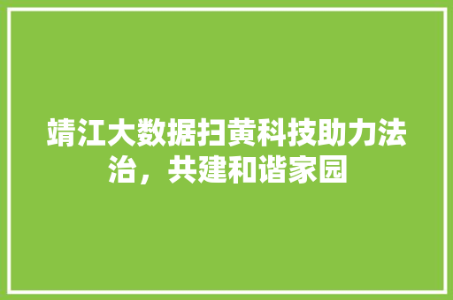靖江大数据扫黄科技助力法治，共建和谐家园