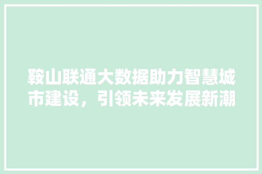 鞍山联通大数据助力智慧城市建设，引领未来发展新潮流