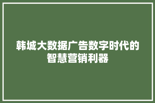 韩城大数据广告数字时代的智慧营销利器