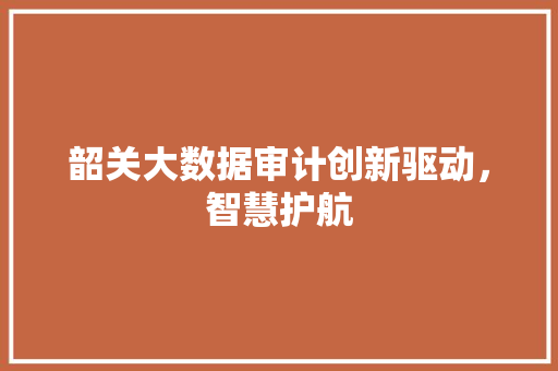 韶关大数据审计创新驱动，智慧护航