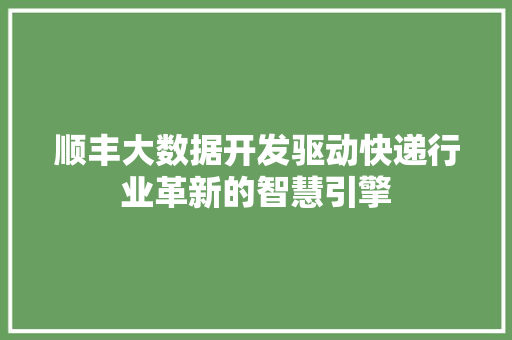顺丰大数据开发驱动快递行业革新的智慧引擎