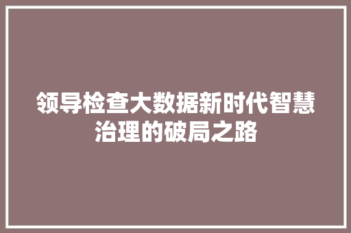 领导检查大数据新时代智慧治理的破局之路