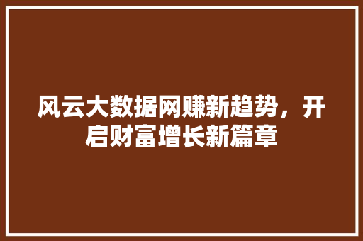 风云大数据网赚新趋势，开启财富增长新篇章