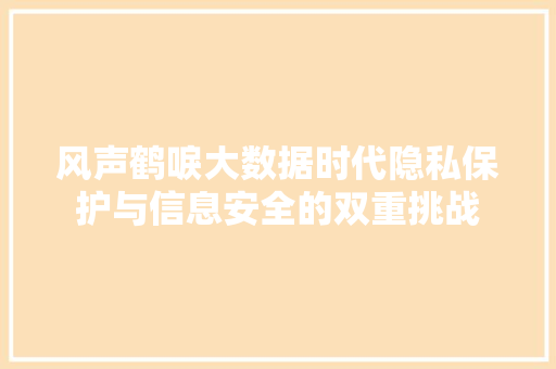 风声鹤唳大数据时代隐私保护与信息安全的双重挑战