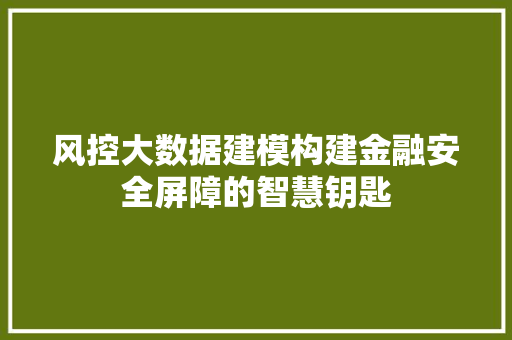 风控大数据建模构建金融安全屏障的智慧钥匙