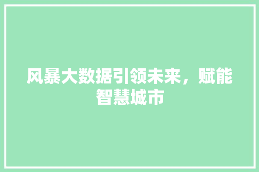 风暴大数据引领未来，赋能智慧城市