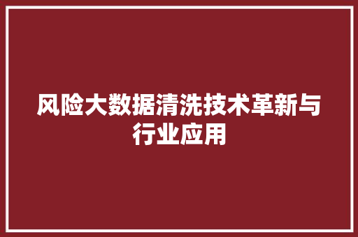 风险大数据清洗技术革新与行业应用