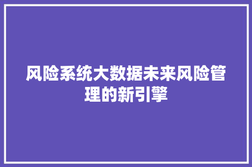 风险系统大数据未来风险管理的新引擎