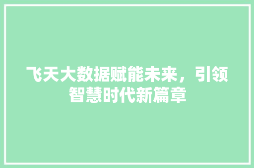 飞天大数据赋能未来，引领智慧时代新篇章