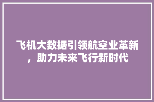 飞机大数据引领航空业革新，助力未来飞行新时代