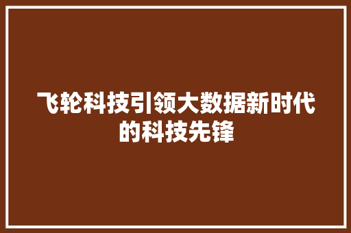 飞轮科技引领大数据新时代的科技先锋