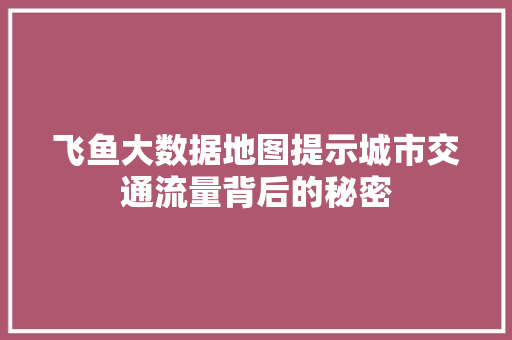 飞鱼大数据地图提示城市交通流量背后的秘密