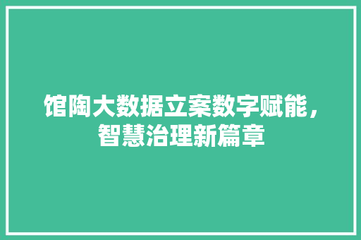 馆陶大数据立案数字赋能，智慧治理新篇章