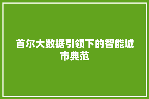 首尔大数据引领下的智能城市典范