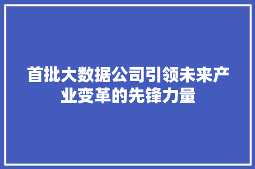 首批大数据公司引领未来产业变革的先锋力量