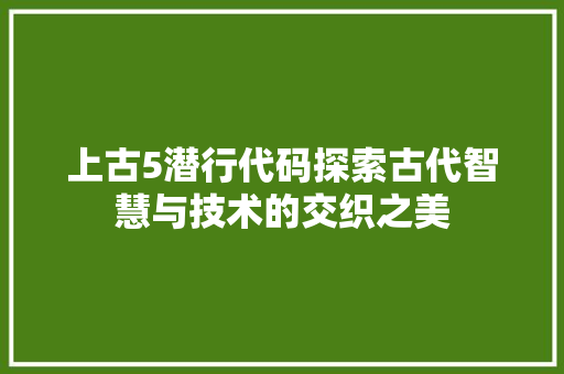 上古5潜行代码探索古代智慧与技术的交织之美